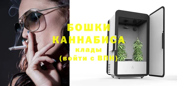 мдпв Дмитров