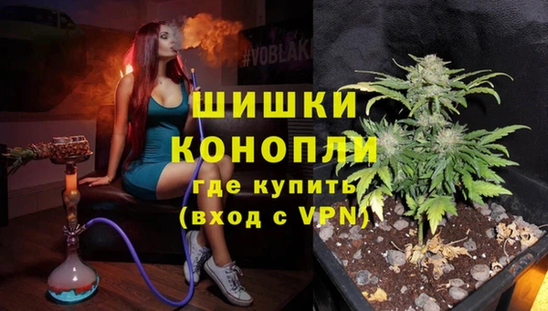 молекула духа Дмитриев