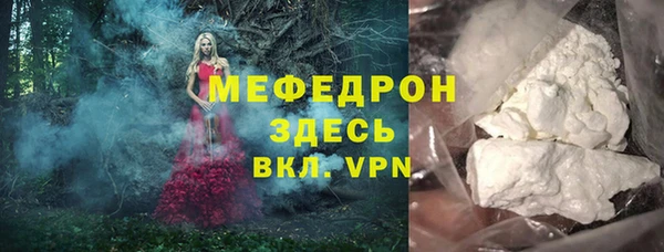 мдпв Дмитров