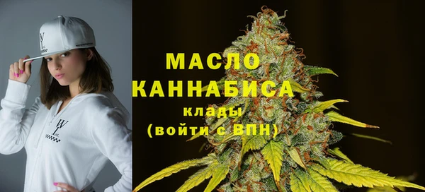 молекула духа Дмитриев