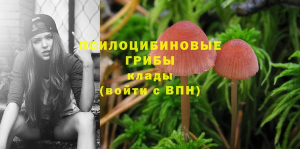 мдпв Дмитров