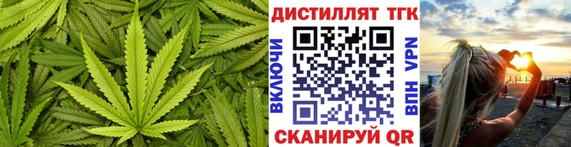 закладки  Жердевка  Дистиллят ТГК жижа 