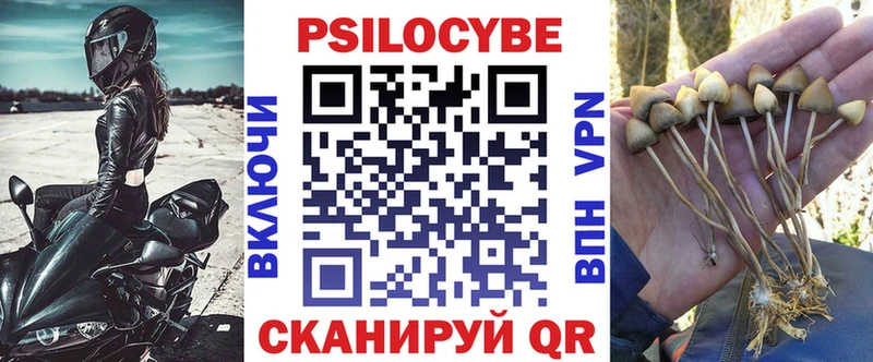 Псилоцибиновые грибы GOLDEN TEACHER  Жердевка 